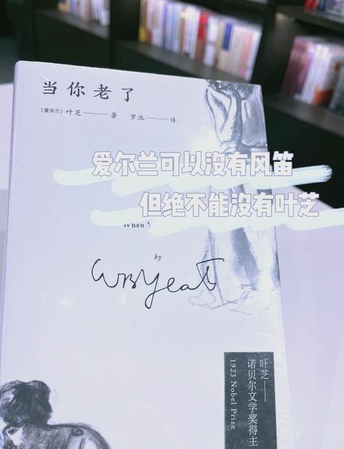 当你老了诗歌鉴赏,当你老了 诗歌鉴赏-图3 当你老了诗歌鉴赏,当你老了 诗歌鉴赏-图3