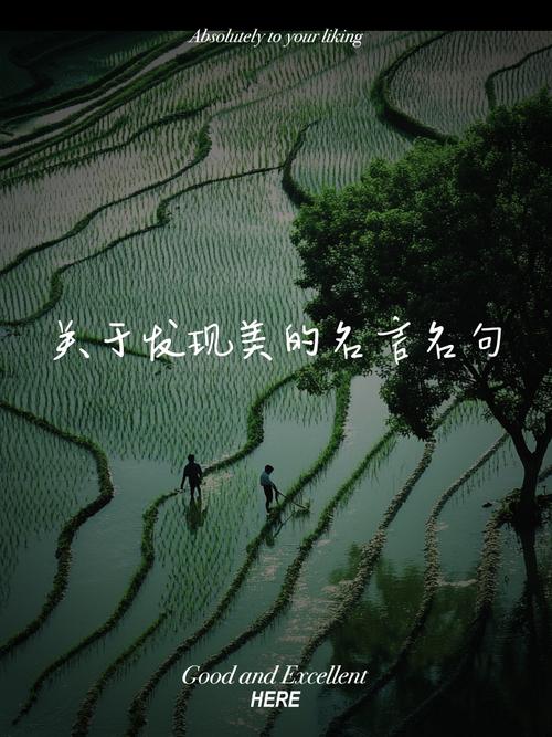 何为美?名言如何定义美的真谛?-图2 何为美?名言如何定义美的真谛?-图2