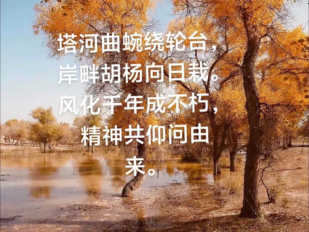 胡杨精神的诗歌,胡杨精神诗词-图1 胡杨精神的诗歌,胡杨精神诗词-图1