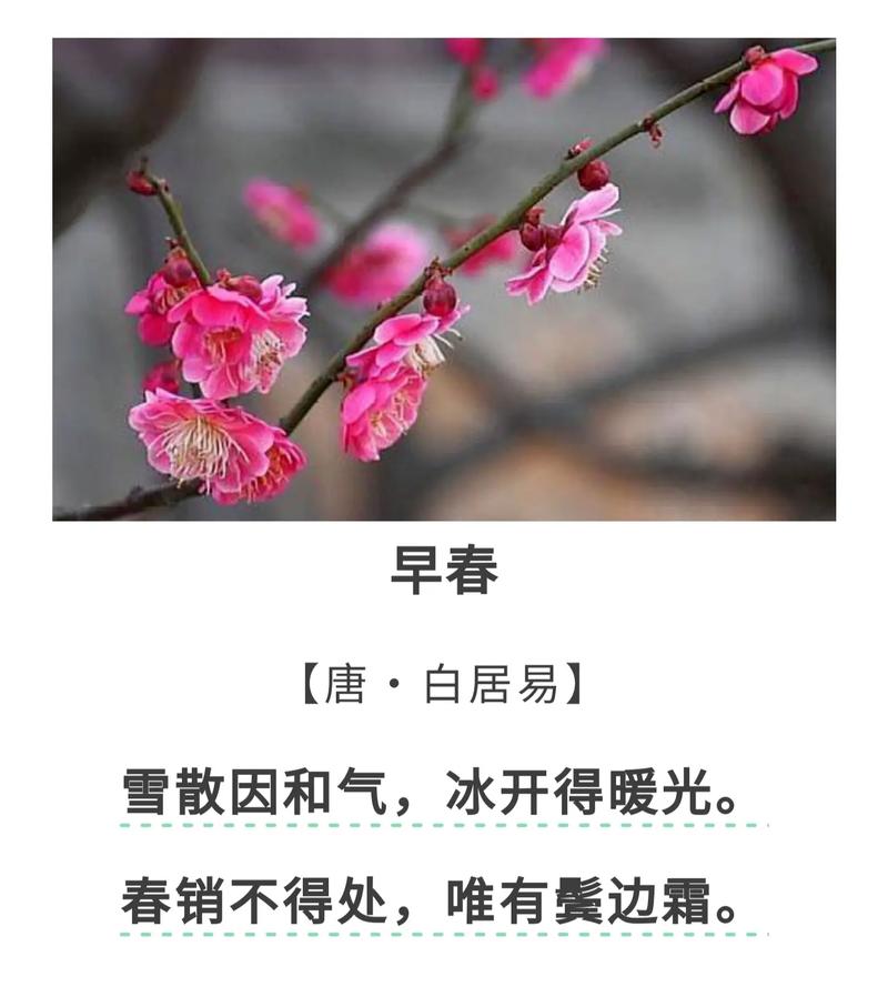 诗歌初春,诗歌初春的早晨,我是一条蚯蚓-图1 诗歌初春,诗歌初春的早晨,我是一条蚯蚓-图1