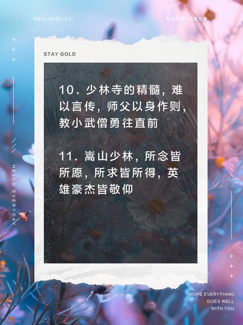 关于武术的名言，关于武术的名言名句-图3