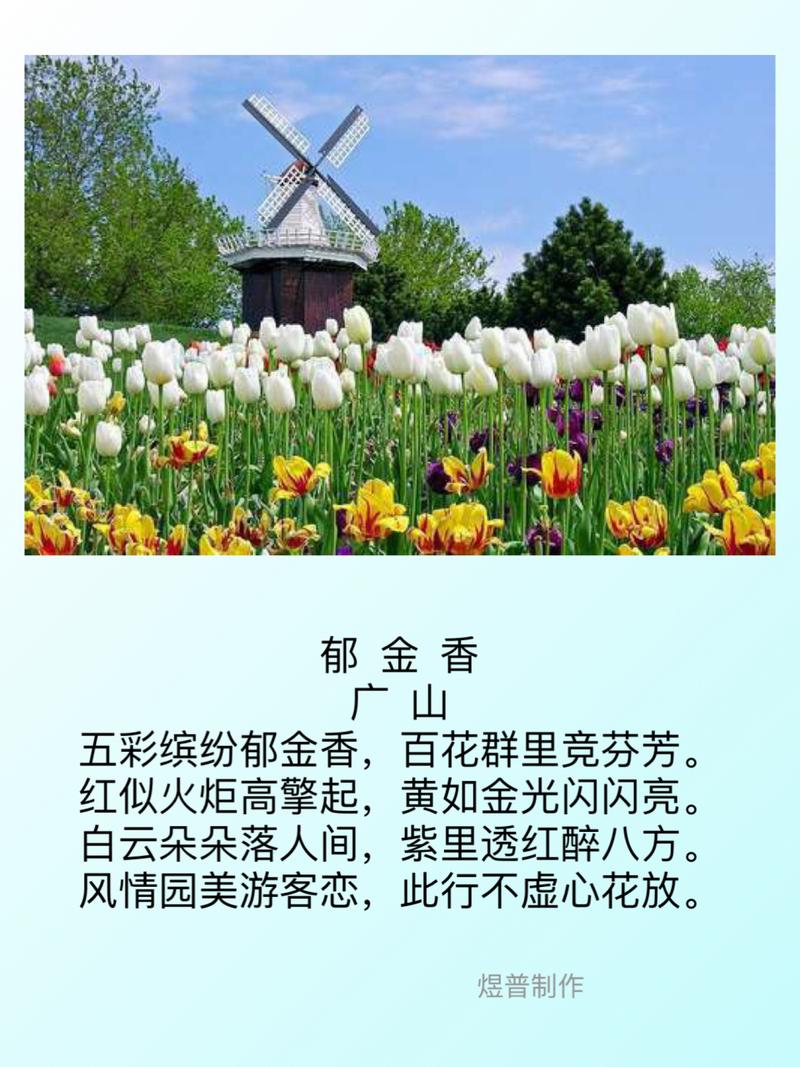 郁金香 外国诗歌,郁金香外国诗歌-图1 郁金香 外国诗歌,郁金香外国诗歌-图1