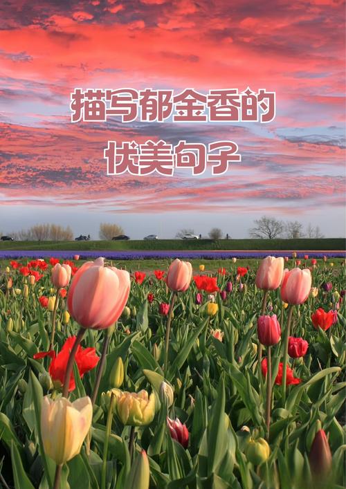 郁金香 外国诗歌,郁金香外国诗歌-图2 郁金香 外国诗歌,郁金香外国诗歌-图2