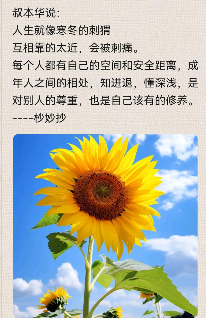 知进退的名言,知进退的名言警句-图1 知进退的名言,知进退的名言警句-图1