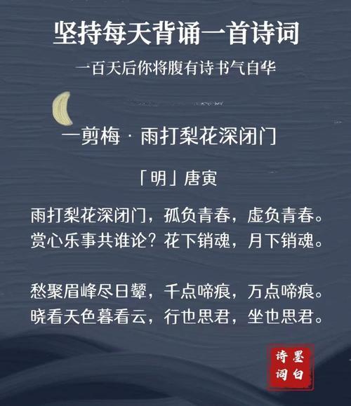 诗歌 十年，诗歌十年寒窗磨一剑朗诵-图2