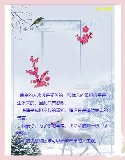 生活因爱而绚丽的名言-图2