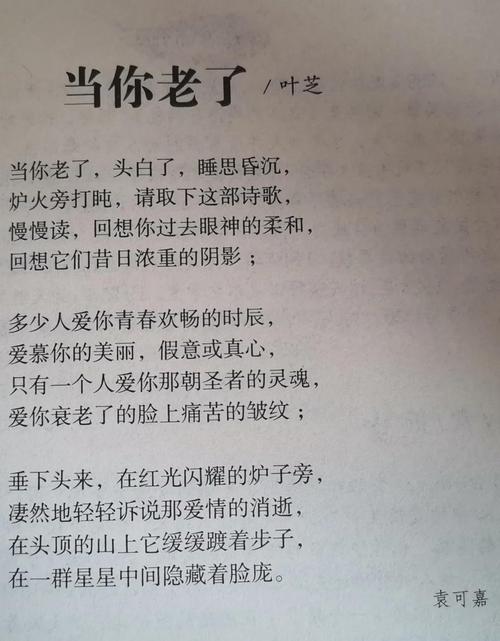 当你老了诗歌,当你老了诗歌原文-图2 当你老了诗歌,当你老了诗歌原文-图2