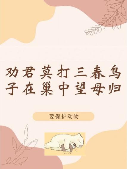 保护动物诗歌-图2