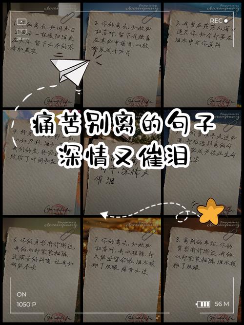 难受时的名言，难受的名言名句合集-图1