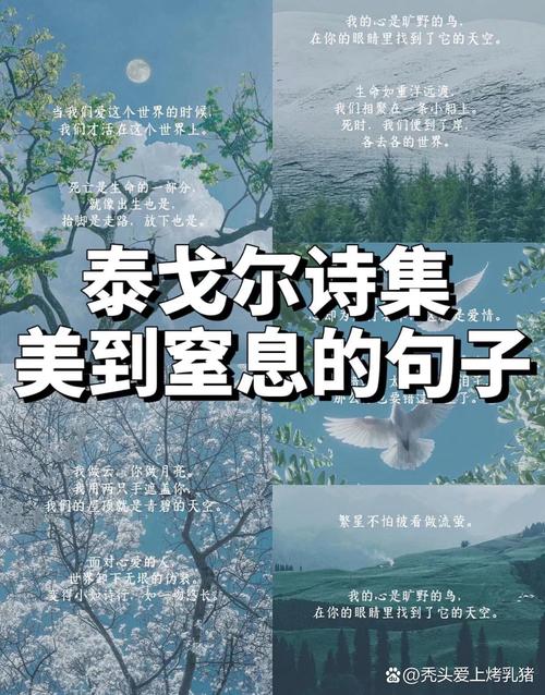 哲理外国诗歌,哲理外国诗歌有哪些-图1 哲理外国诗歌,哲理外国诗歌有哪些-图1