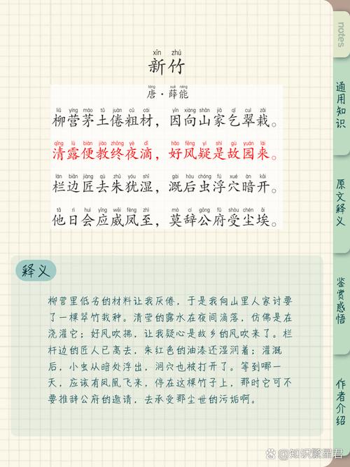 咏竹诗歌，咏竹诗歌阅读答案-图1