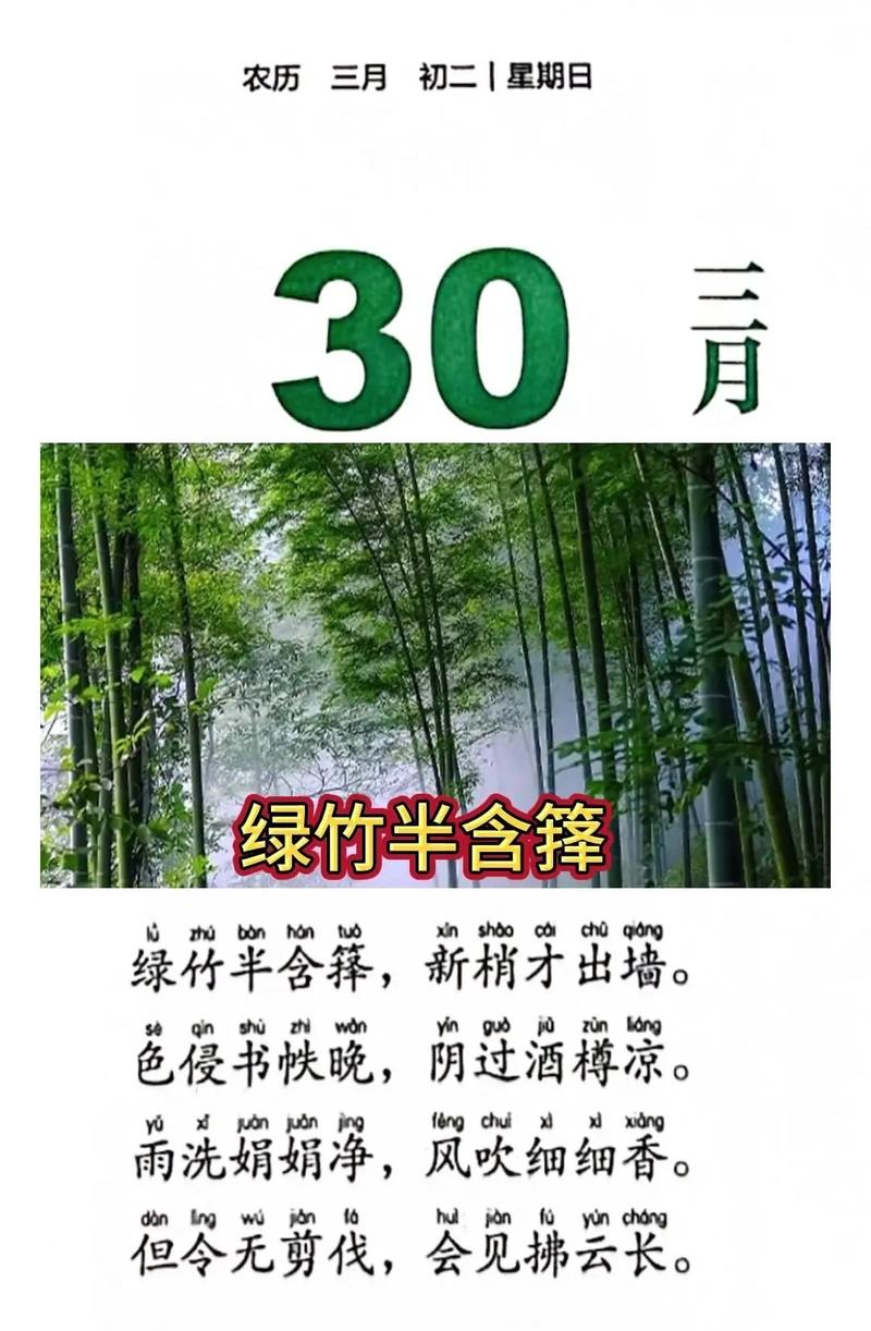 咏竹诗歌，咏竹诗歌阅读答案-图2