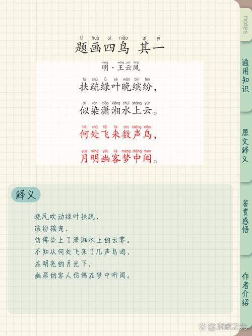 小鸟的诗歌，小鸟的诗歌怎么写-图1