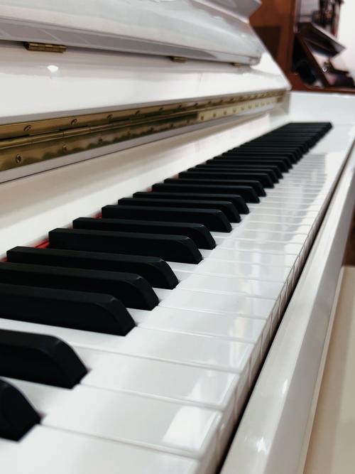 钢琴黑白键励志名言，钢琴黑白键的唯美句子-图3
