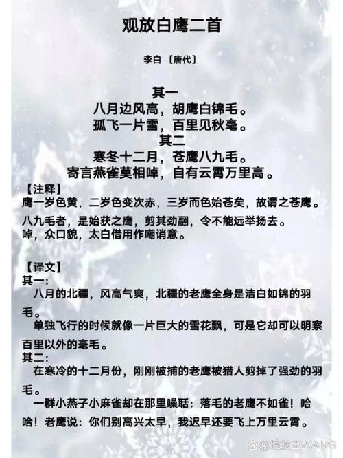 鹰的诗歌，鹰的诗歌朗诵-图2