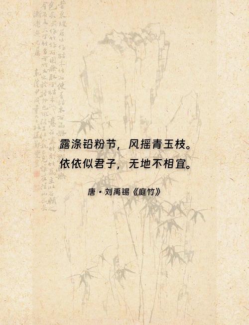 写竹的诗歌，写竹的诗歌现代诗-图2