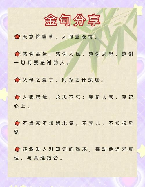 5条名人名言，5条名人名言简短好背-图1