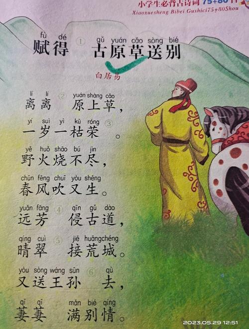 草原恋诗歌，草原恋诗句-图1