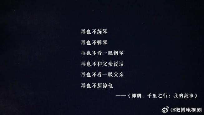 郎郎名言,郎朗的名言-图2 郎郎名言,郎朗的名言-图2