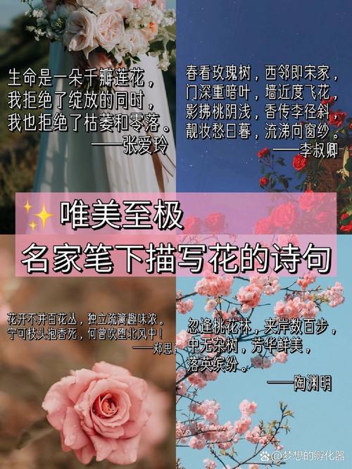 春天花的诗歌，春天花的诗歌现代诗-图1