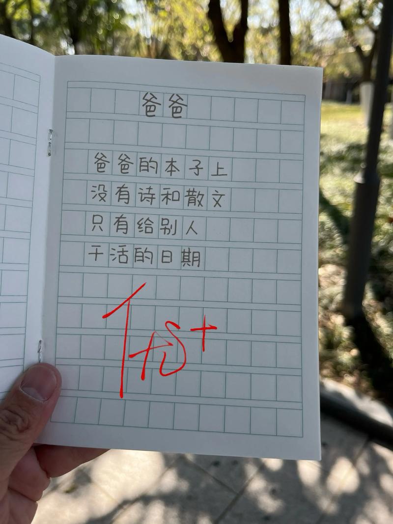 台阶 诗歌，台阶诗歌仿写父亲-图3