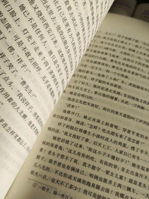 骆驼祥子的诗歌-图1