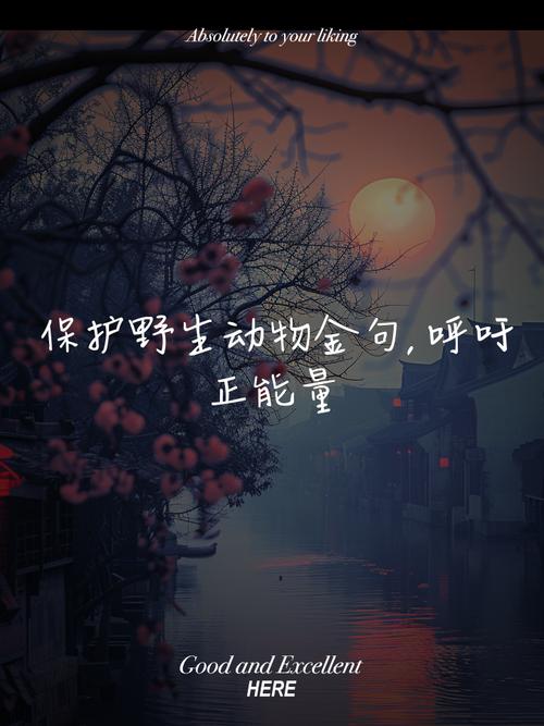 名言如何真正守护动物生命？-图1