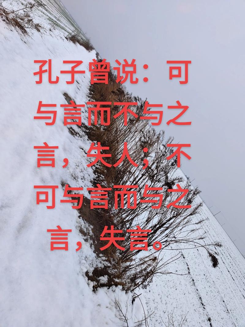 孔子名言论，何为君子之言行？-图3