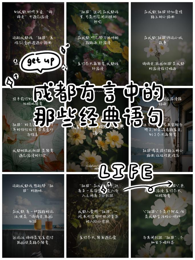 关于成都的名言-图2