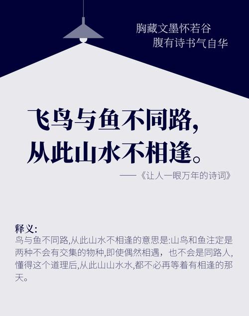 飞鸟与鱼,何以跨越天地相望?-图3 飞鸟与鱼,何以跨越天地相望?-图3