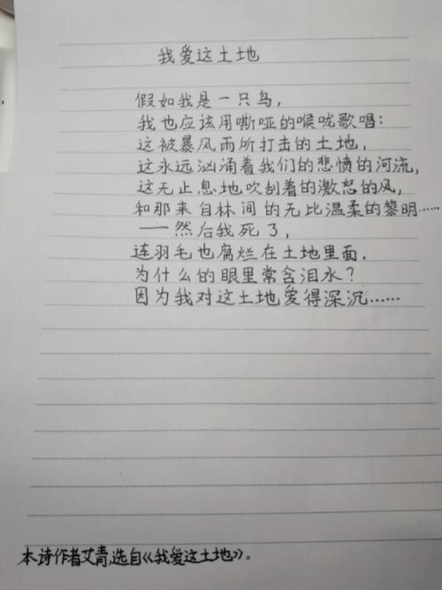 仿写艾青诗歌-图2