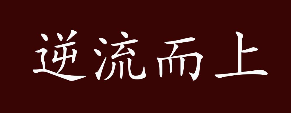 逆流而上的名言-图2