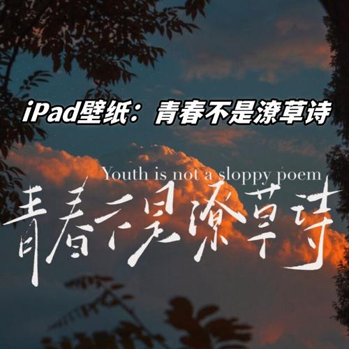 诗歌无怨的青春-图3 诗歌无怨的青春-图3