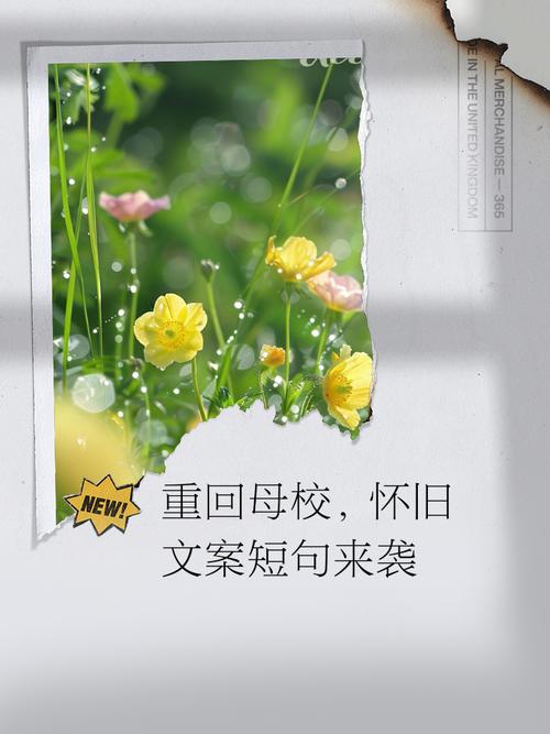 诗歌朗诵如何承载告别母校的深情?-图3 诗歌朗诵如何承载告别母校的深情?-图3