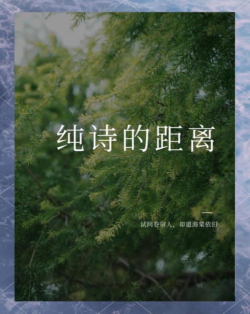 距离 诗歌,距离诗歌原文-图1 距离 诗歌,距离诗歌原文-图1