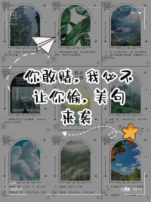 赌感情名言,赌感情的句子-图3 赌感情名言,赌感情的句子-图3