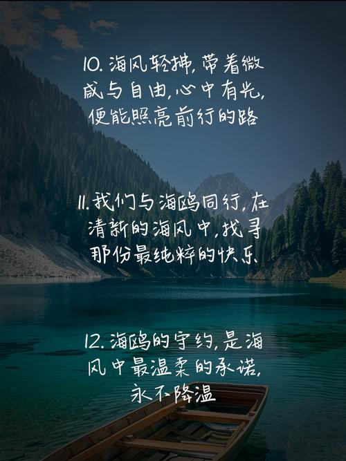 关于海鸥的名言，关于海鸥的名言警句-图1