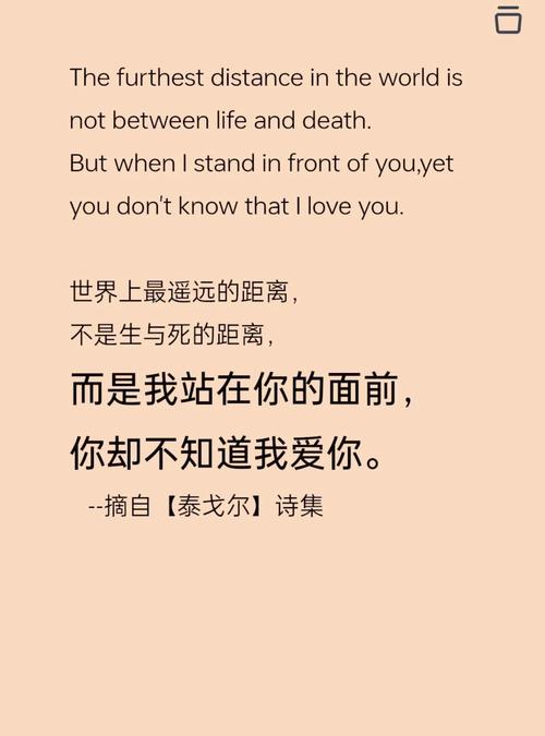 英语爱的名言，英语名言关于爱-图1