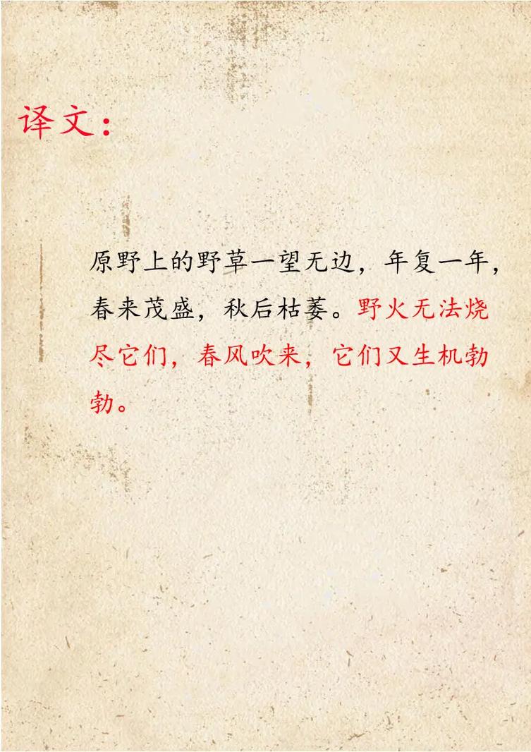 野味诗歌，野味诗句-图1