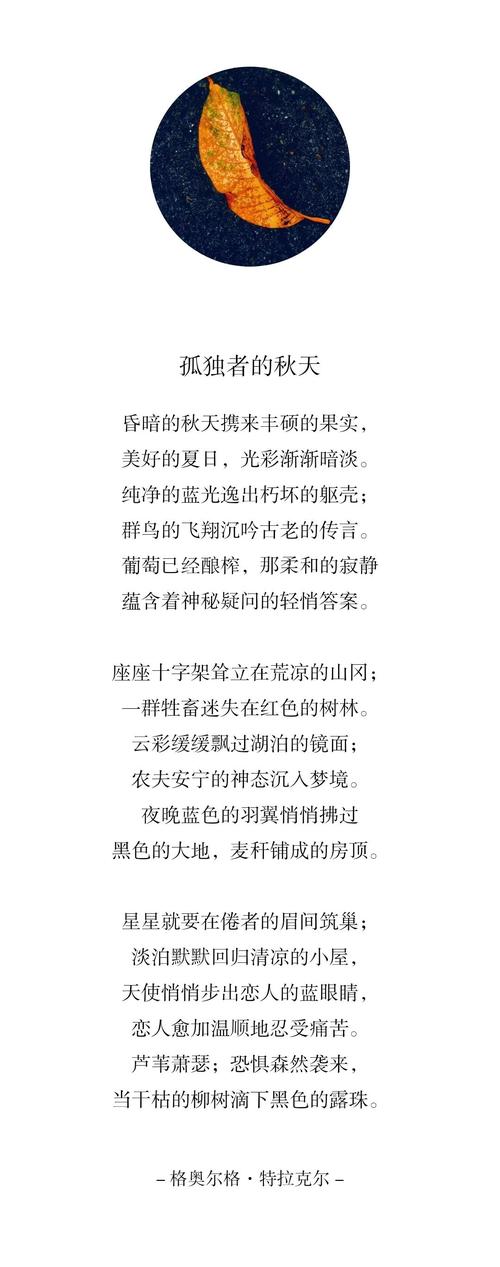 诗歌推荐赏析，诗歌鉴赏推荐-图2