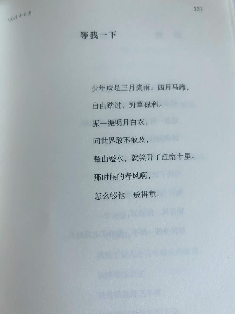 美少年的诗歌-图3