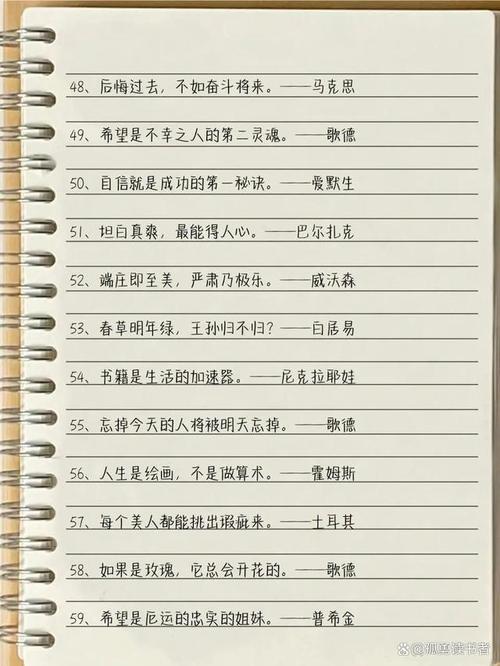 关于年轻的名言，关于年轻的名言警句-图2