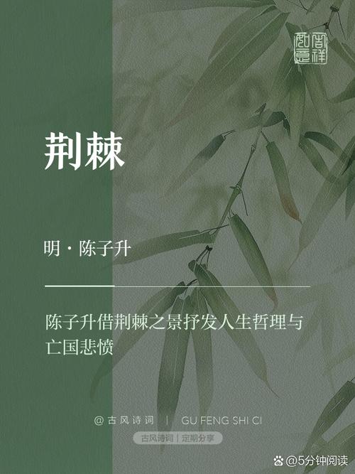 荆棘的诗歌,刺痛了谁的心扉?-图1 荆棘的诗歌,刺痛了谁的心扉?-图1