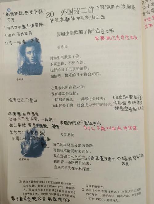 如何分析外国诗歌，如何分析外国诗歌的特点-图3