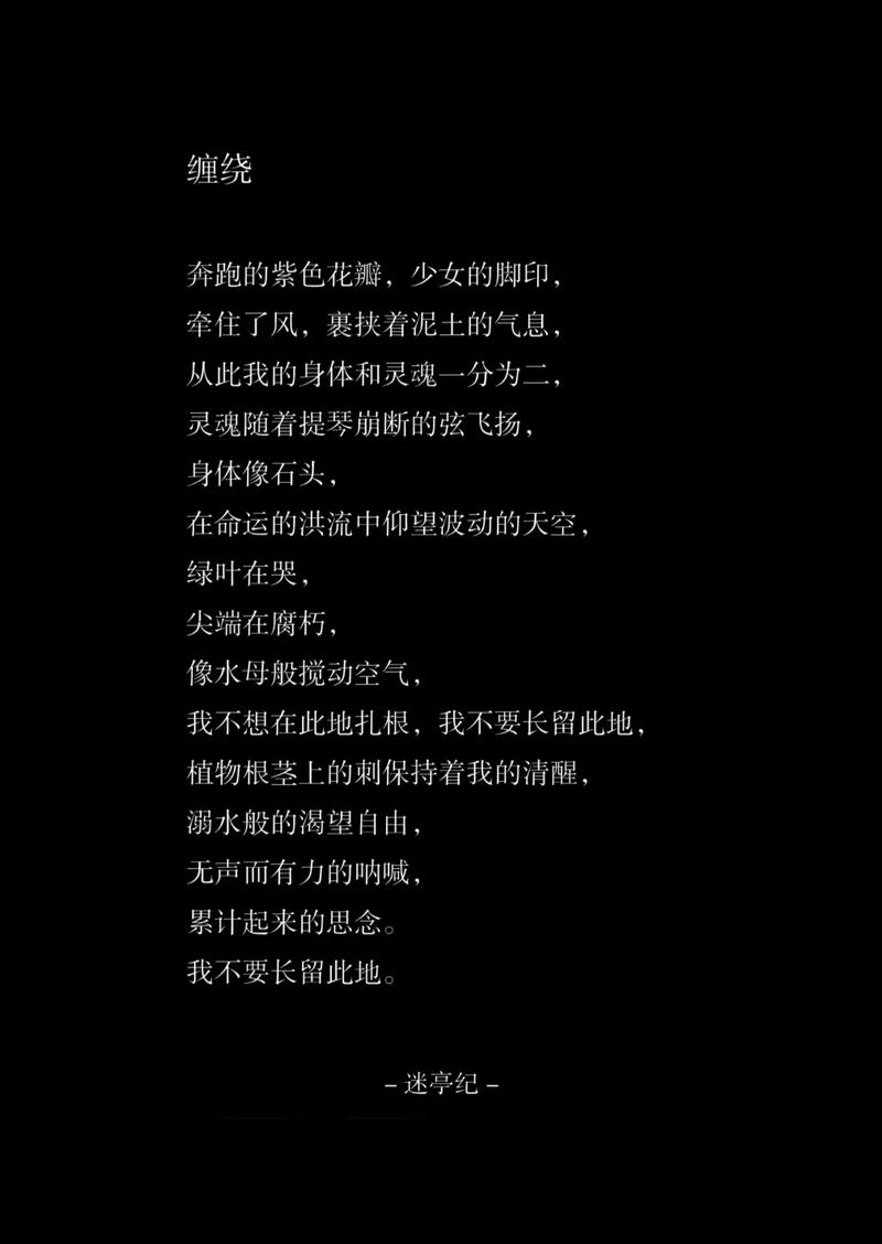 诗歌享受，诗歌享受孤独-图3