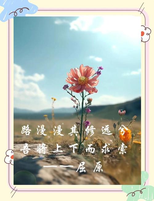 关于路的名言警句大全,关于路的名言警句大全,要作者-图3 关于路的名言警句大全,关于路的名言警句大全,要作者-图3