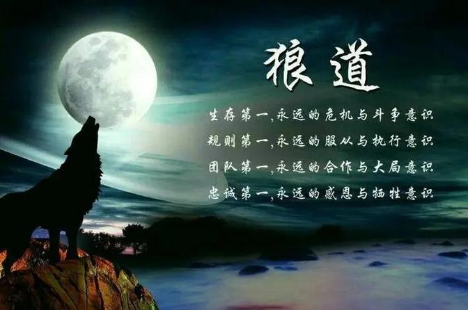 狼的励志名言，藏着怎样的生存智慧？-图3