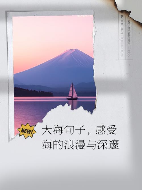 喜欢海的名言，喜欢海的语录-图1