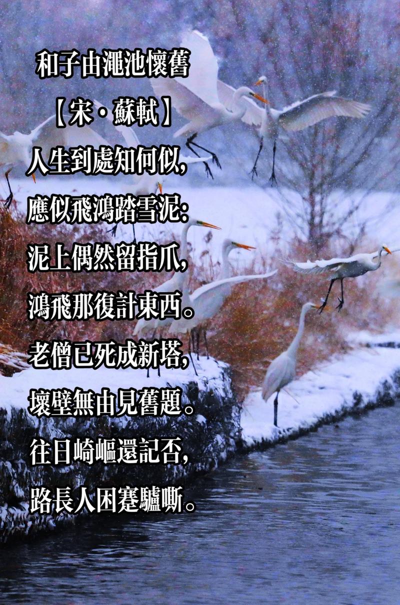 老照片里藏着怎样的诗歌?-图2 老照片里藏着怎样的诗歌?-图2