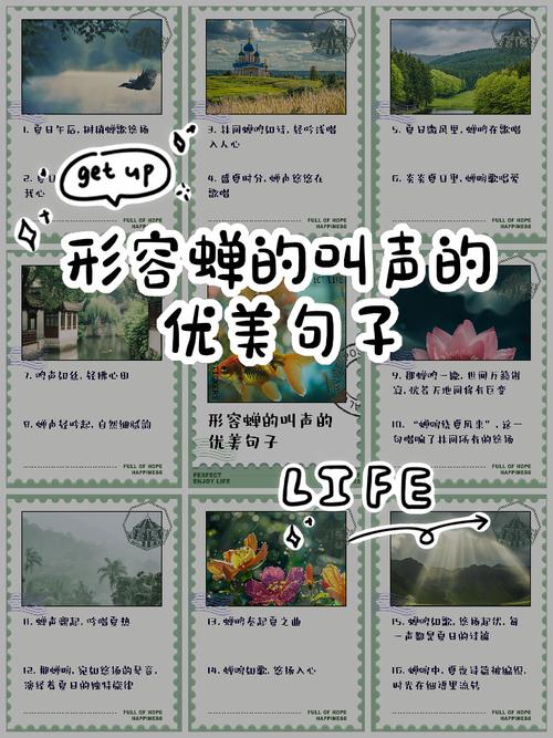 蝉声里藏着多少被赞美的秘密?-图1 蝉声里藏着多少被赞美的秘密?-图1